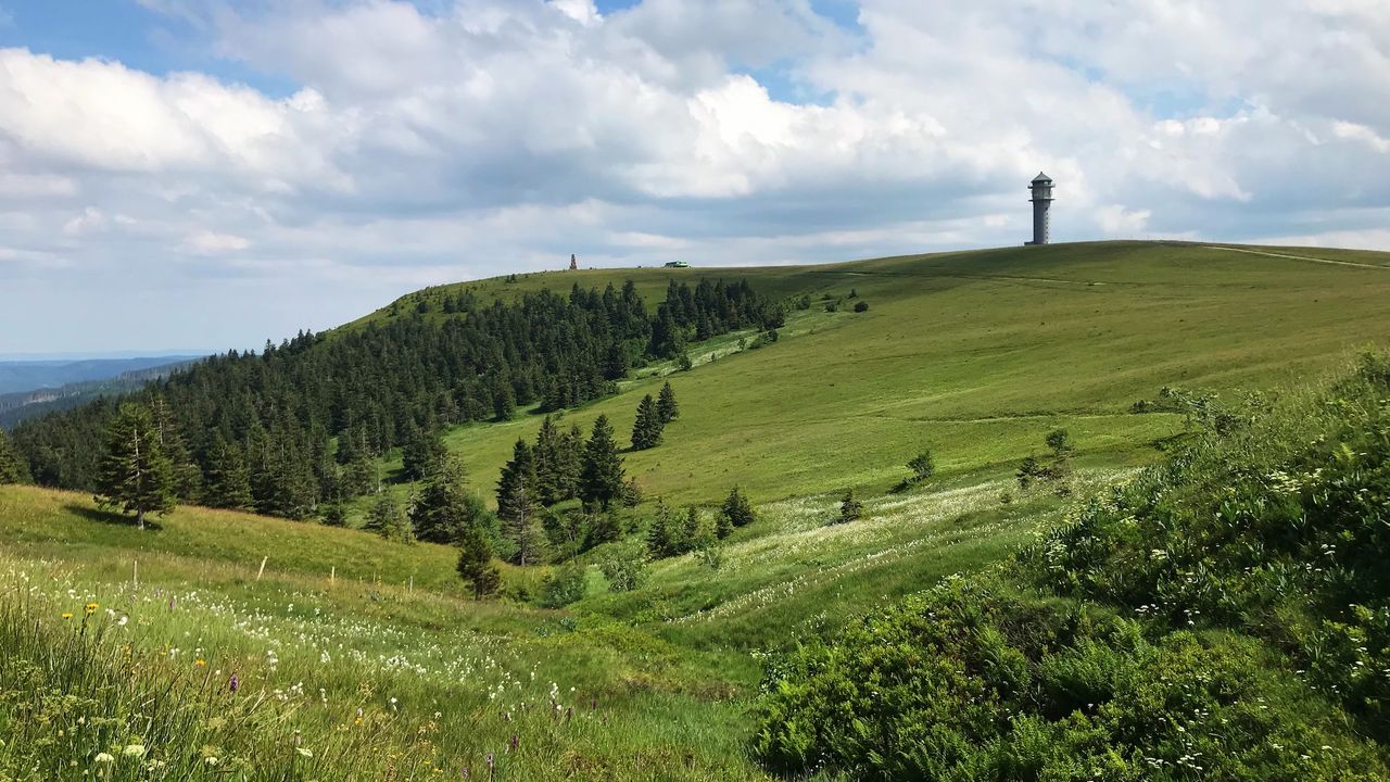 Feldberg Feldberg